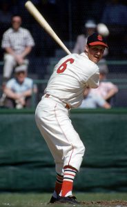Stan Musial St. Louis Cardinals Hall of Famer Name & Number